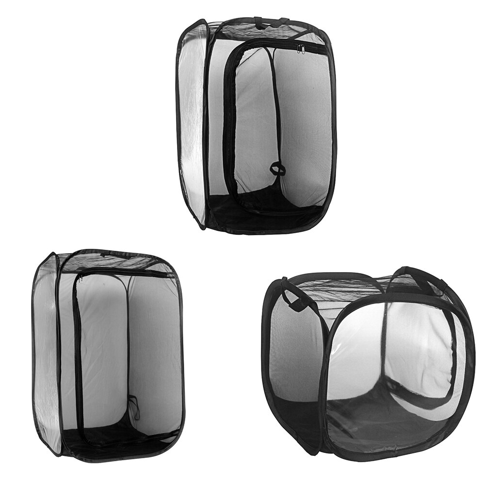 Insect Proof Ant Farm Butterfly Habitat Box Transparent Plant Seedlings Incubator Portable Collapsible Insect Cage Ant Farm Box