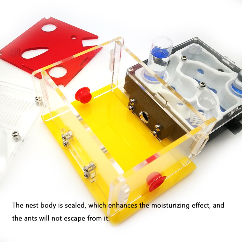 Ant Nest X6-B1 X6-A1 DIY Moisture Feeding Area Acryl Ant Farm Ants House Birthday