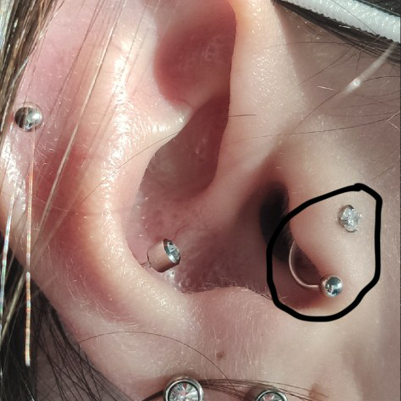 Arete de acero inoxidable con forma de hélice para la nariz, pendiente de 20G, 6-10mm, para Piercing de oreja, para el lóbulo, Tragus, cartílago, 2 unidades