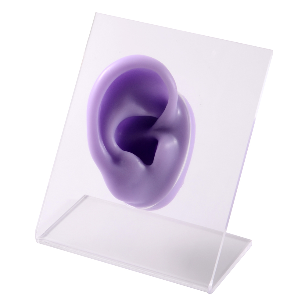 Modello di naso dell&#39;orecchio in Silicone con bordo trasparente pratica professionale piercing strumenti orecchini orecchini a bottone Display può essere riutilizzato gioielli: Purple Right