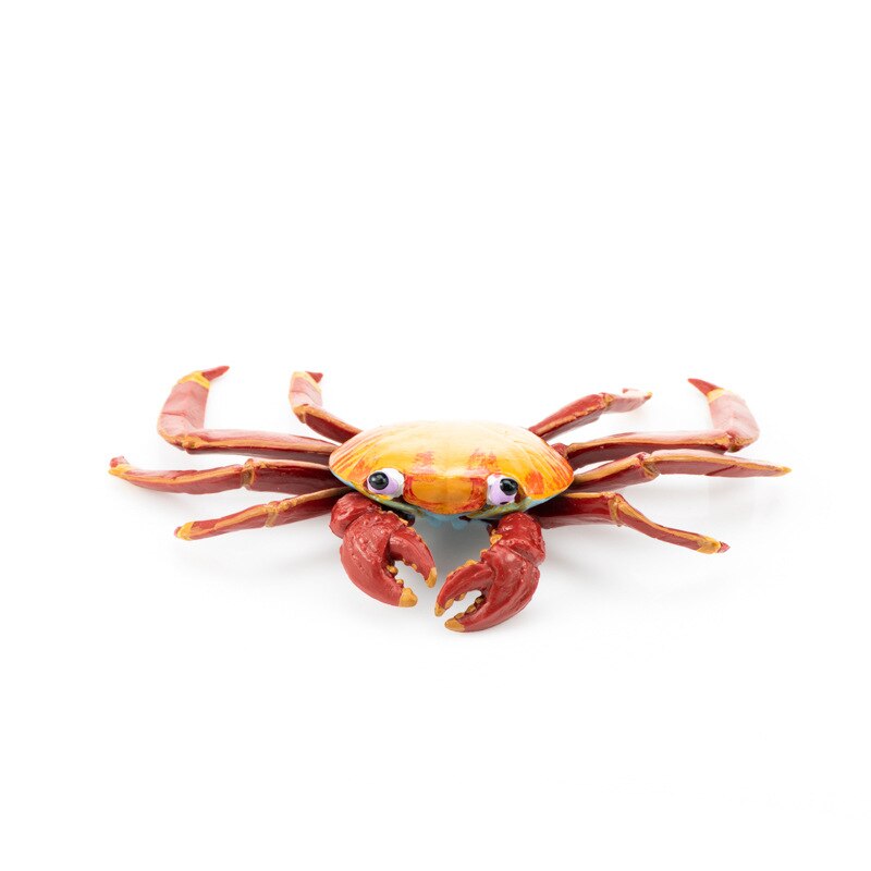 Cross Border Sales Model Oceans Animal Model Toy Plastic Solid Marine Organism Octopus Crab Model Ornaments: S816 Sally Crab