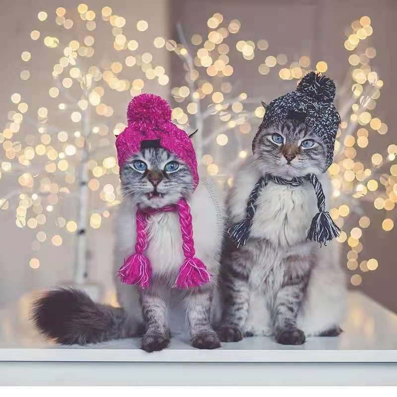 Gorro cálido de invierno para mascota, gorro de punto a prueba de viento para gato de Navidad, para perros pequeños y medianos, Chihuahua, Bulldog francés