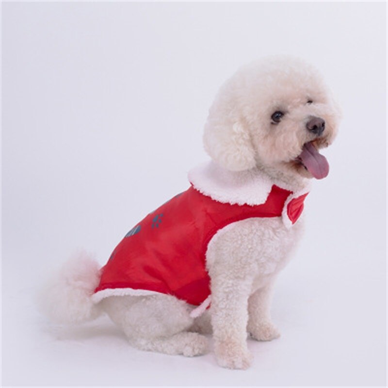 Winter Clothes For Dog Shirt Outdoor Cartoon Dog Clothes T-shirt Vests For Small Medium Puppy