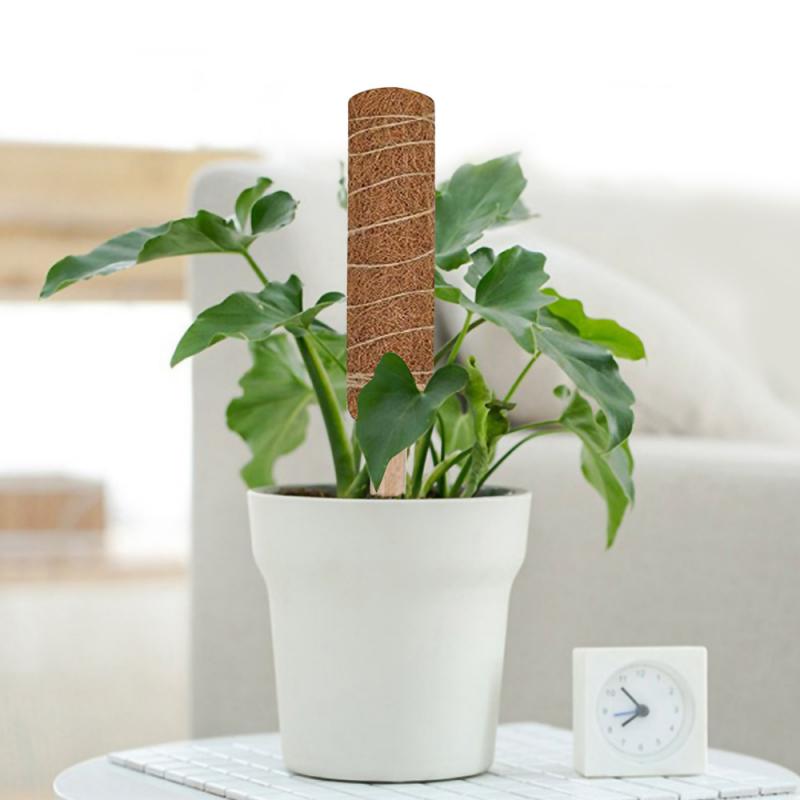 Plante klatring kokos totempæl have balkon kontor slyngplante espalier ramme kokos opretholde fugt planter stick støtte