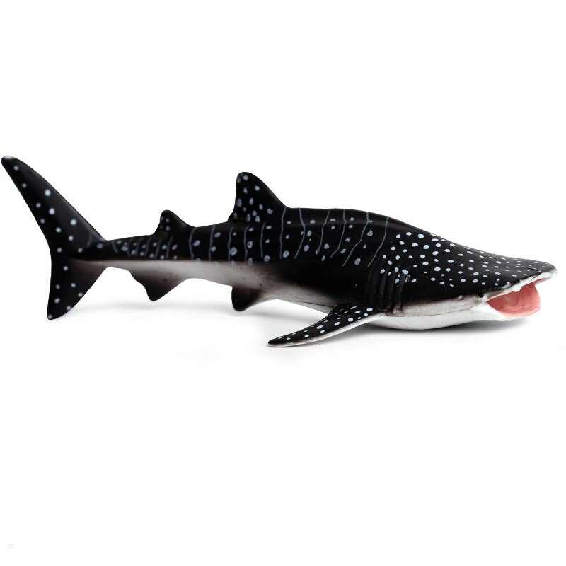 Sea Life Savage Whale Shark Lifelike Baby Shark Toy Anti Stress Squeeze Big Shark Collection Toy for Kid: small whale shark