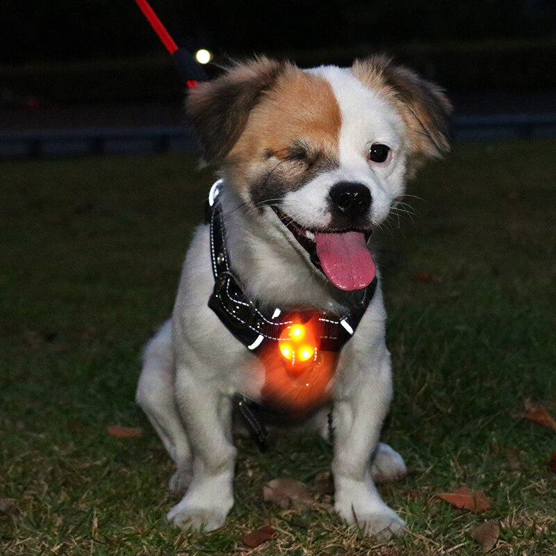 1 Uds mascotas colgante Led intermitente de seguridad de luz Led parpadeantes Collar COLGANTE para mascotas Collar mascota perro . Exclusivo. 20D1