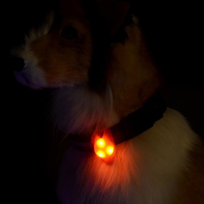 Pendentif de collier lumineux pour animal de compagnie, étiquette de chien, lumineux dans la nuit, sécurité, fourniture pour animaux de compagnie