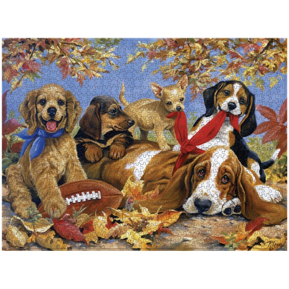 Puzzel Voor Volwassenen 1000 Pcs Wanddecoratie Home Decor