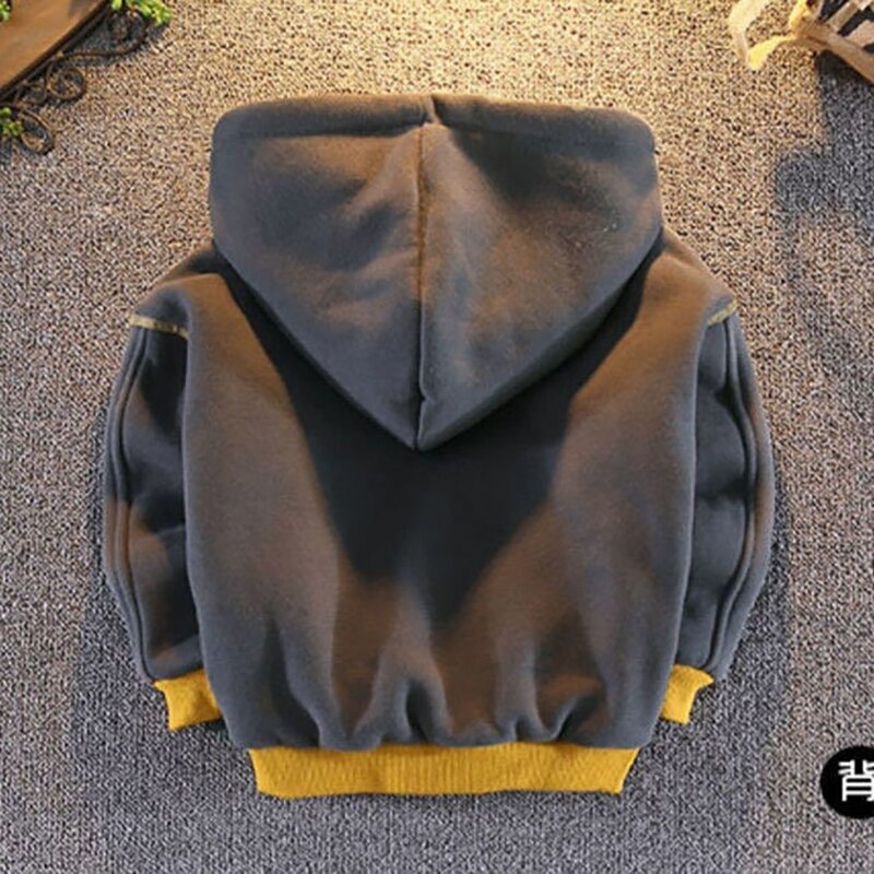 Sudaderas gruesas y cálidas con capucha para niños, suéter de Color sólido para 1, 2, 3, 4 y 5 años, Otoño e Invierno