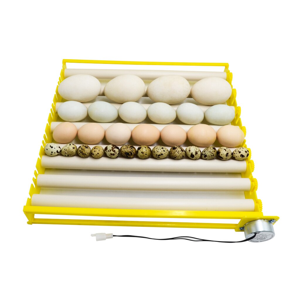 Automatic 360 Degree Rotary Egg Incubator Turner Roller Tray Durable Egg Hatching Duck Quail Bird Poultry Eggs Household 20% OFF