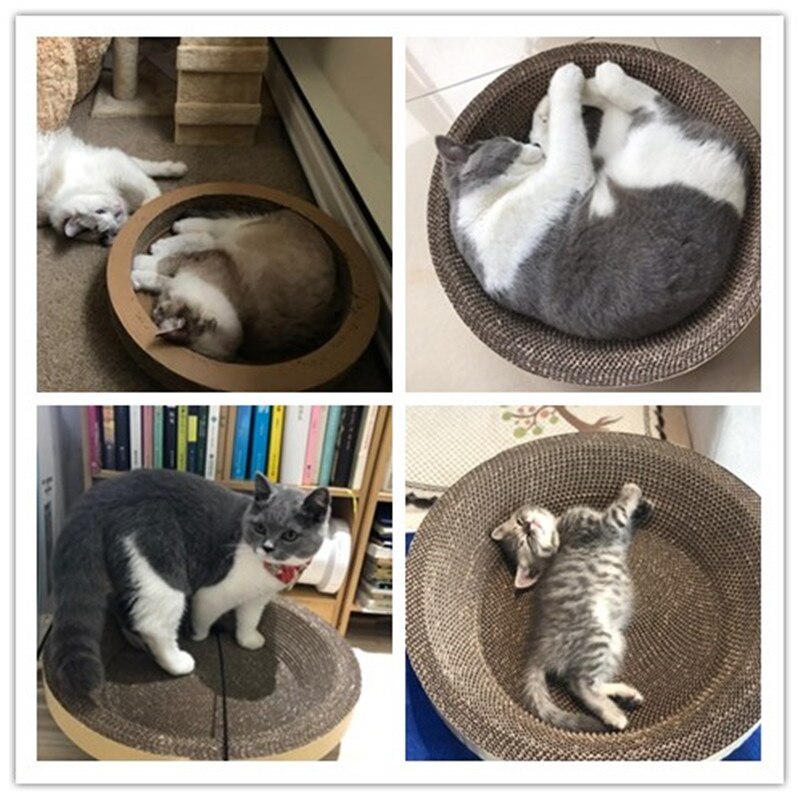 Cordial Shining Cat Scratches Bowls Cats House Kitten Scratcher Cat Furniture Cats Scratching Posts Furniture Supplies
