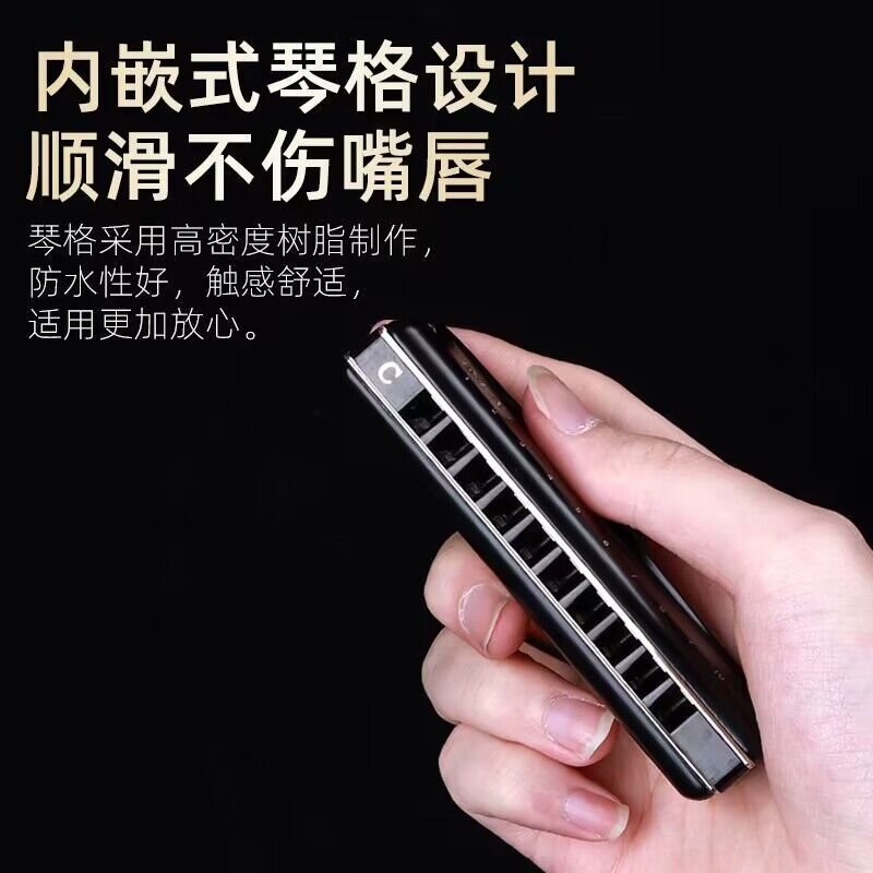 Armonica blues a 10 fori, strumenti musicali per organi armonica professionali, erpi, chiave professionale di C per Performanc