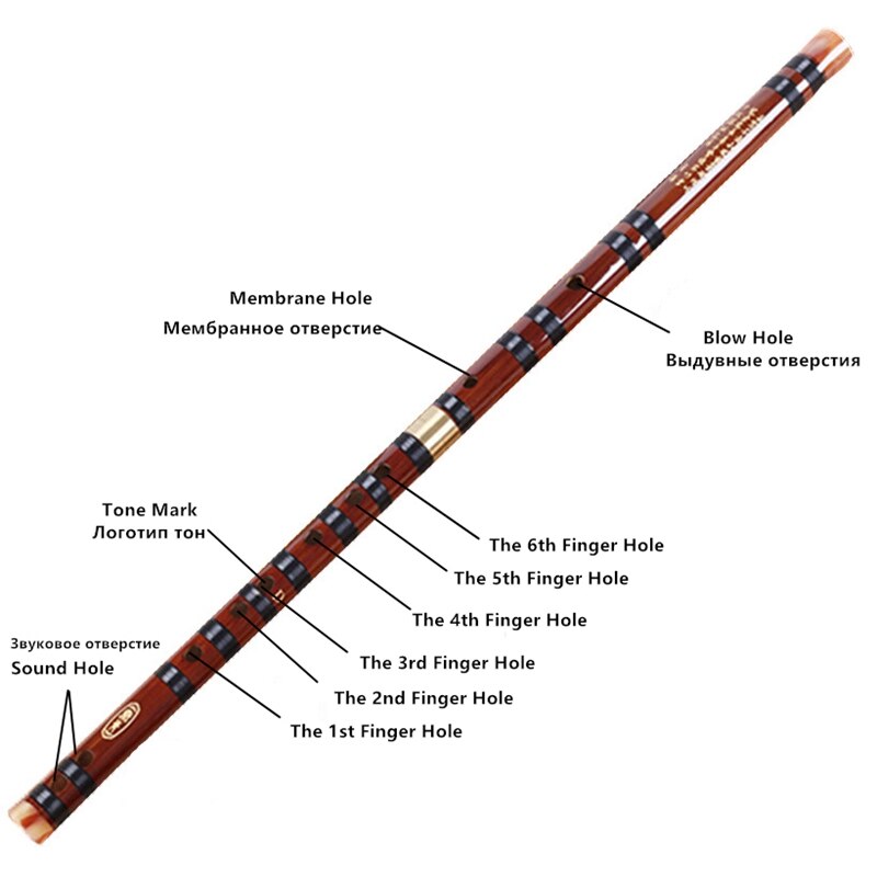 Bambusfløjte musikinstrumenter c nøgle kinesisk dizi tværgående