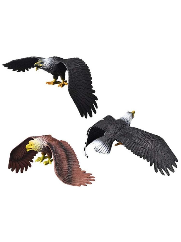 Simulatie Effen Statische Vogels Model Ornamenten Realistische Eagle Educatief Props Gxmb