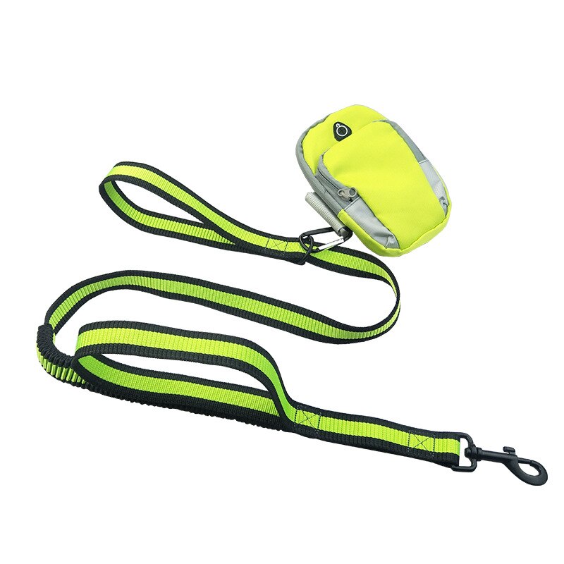 PUGGA Retractable Dog Leash with Arm Bag Flexi Medium Large Dogs Traction Rope Automatic Extending Walking Dog Leashes: Green