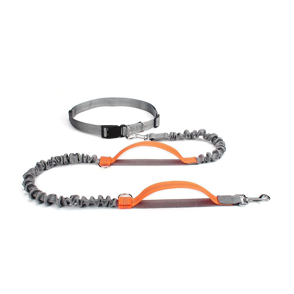 Pet Dog Running Leashes Reflective Traction Rope Belt Elastic Hands Freely Jogging Pull Dog Leash for Medium Large Dog Supplies: Orange