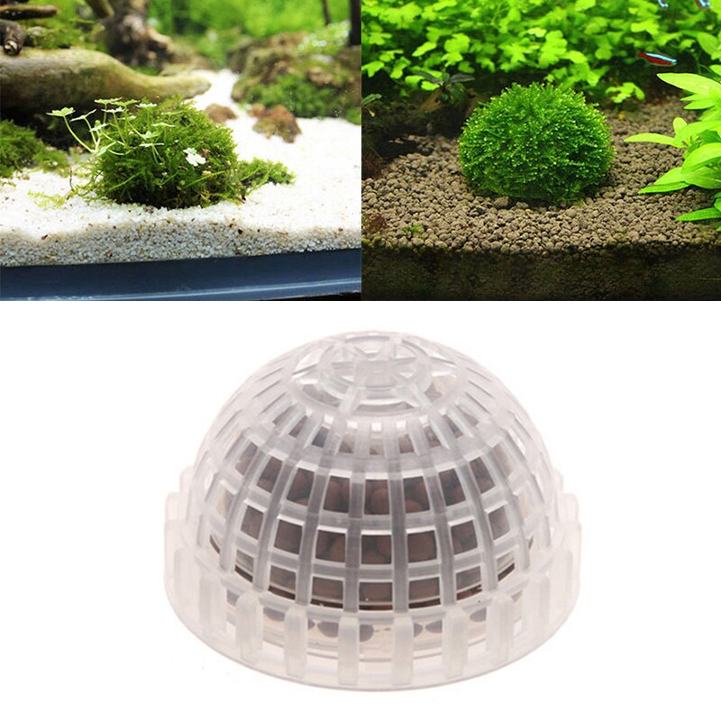 Bola de musgo transparente para acuario, bola de plástico para decoración de plantas en vivo, algas ecológicas, bolas de algas verdes, adornos: Default Title