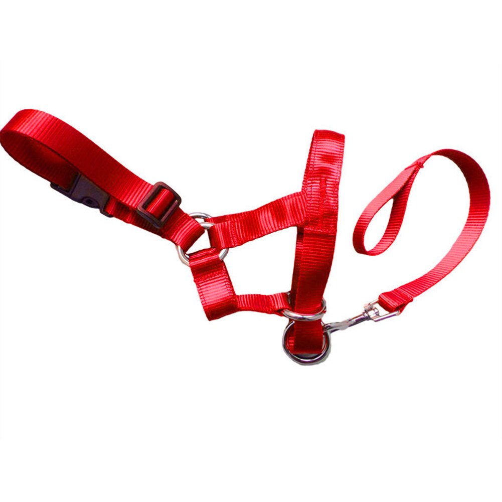 Dog Halter Halti Training Head Collar Gentle Leader Harness Nylon Breakaway All Seasons Usefull Harnesses Lead: Red / M