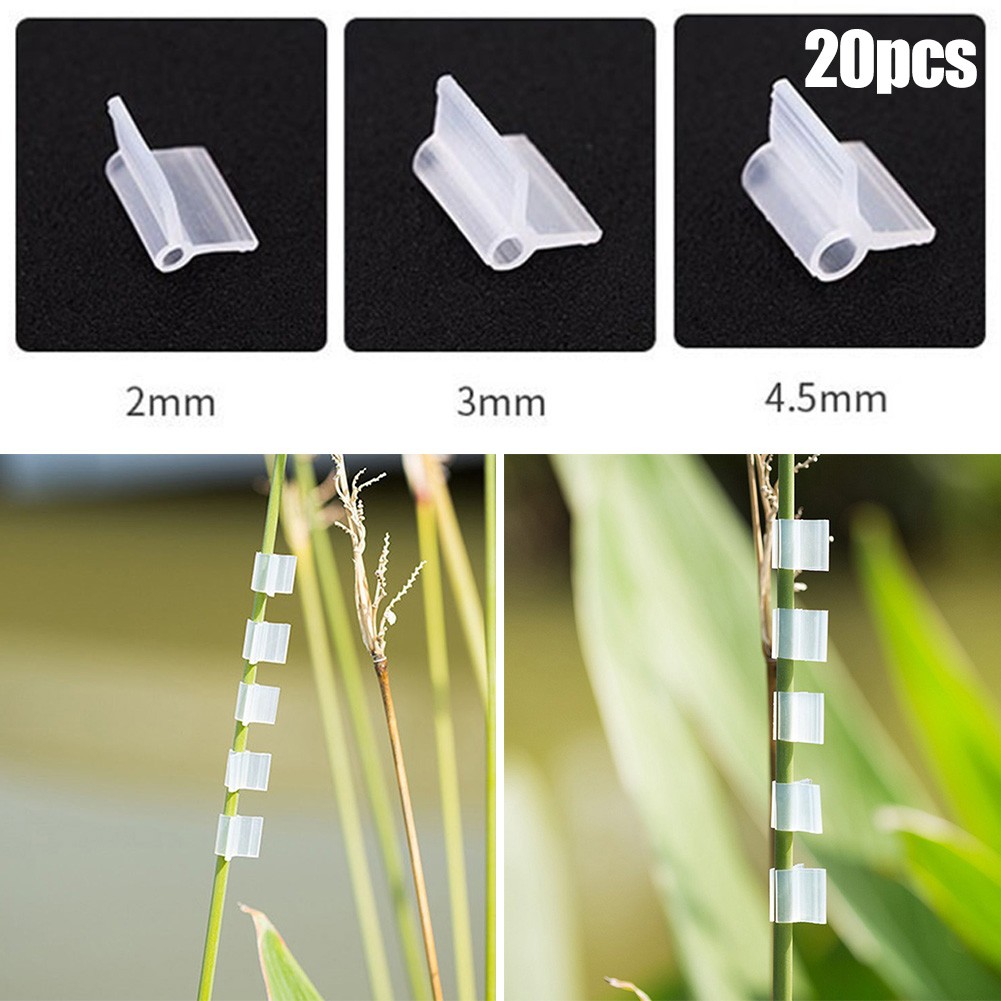 Pinces de greffage agricole, 20 pièces, 2/3/4.5mm, légumes, fruits, plantes, tomates, pastèque, pince de Support, accessoires de jardinage