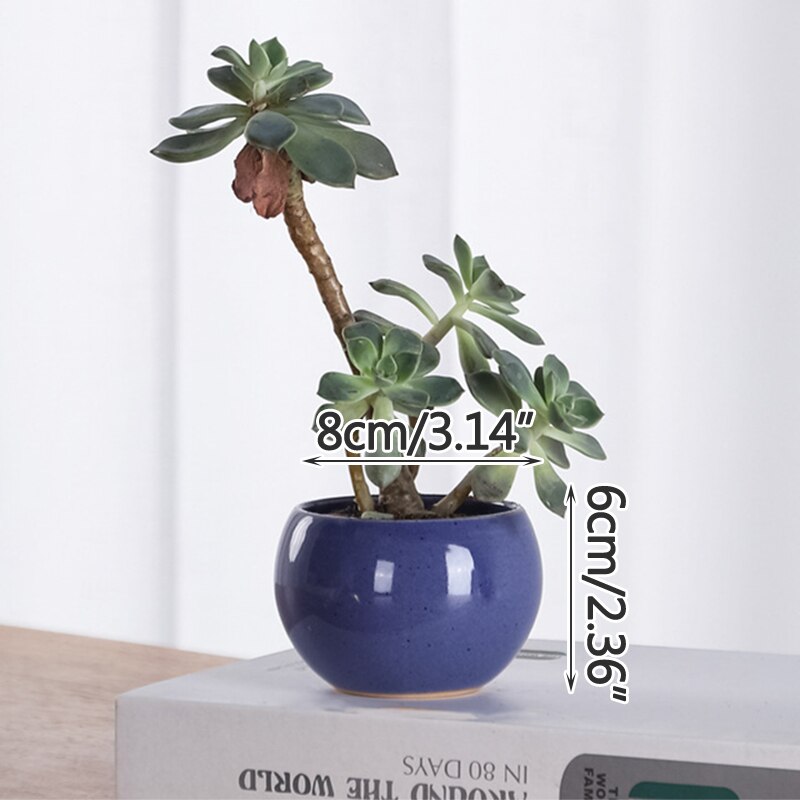 Koreańskie Macarons świeże ceramiczne sukulenty garnki zielone rośliny z otworami małe doniczkowe rośliny kreatywne kryty dekoracja biurka: A