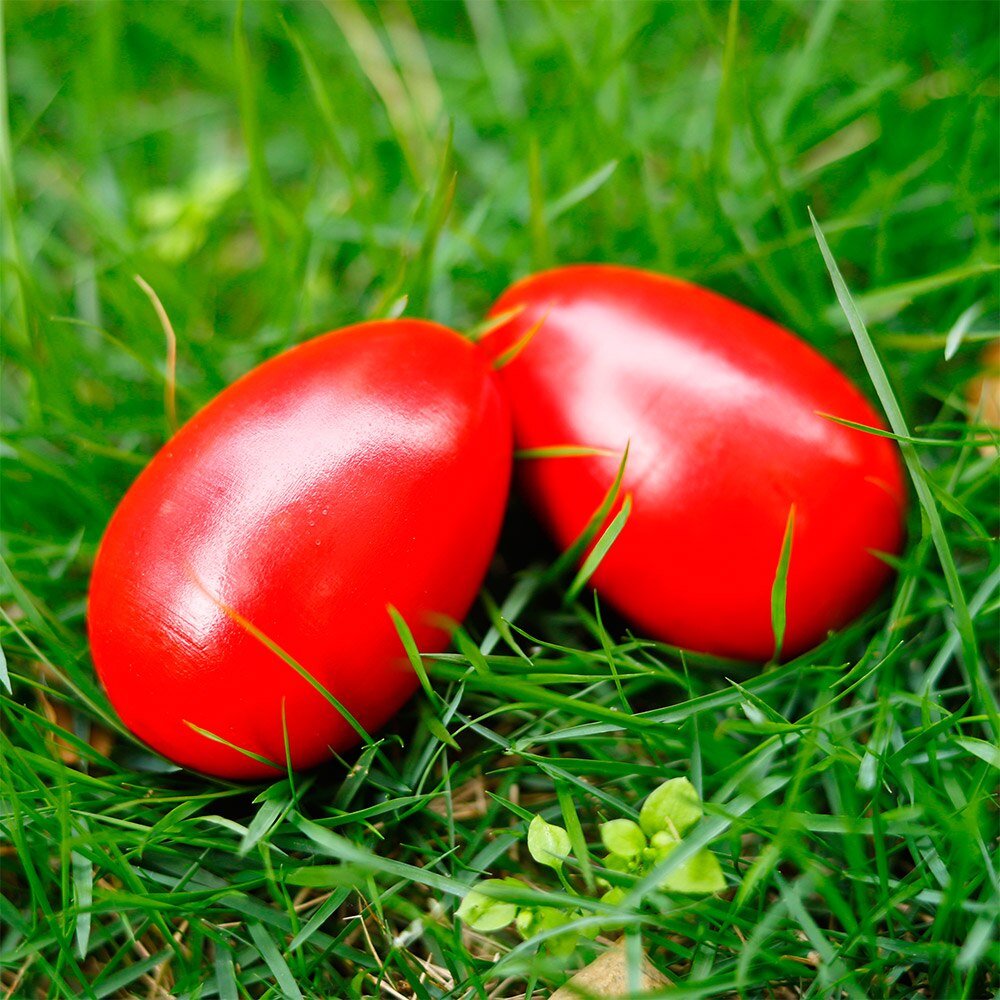 Oeufs en bois Maracas, Instrument de Percussion musicale, rouge, 2 pièces