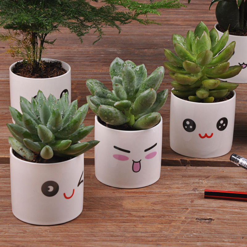 6 Styles Ceramics Planter Flowerpot Cute Expression Garden Succulent Plants Desk Flower Pot Garden Decor Ceramic Vase