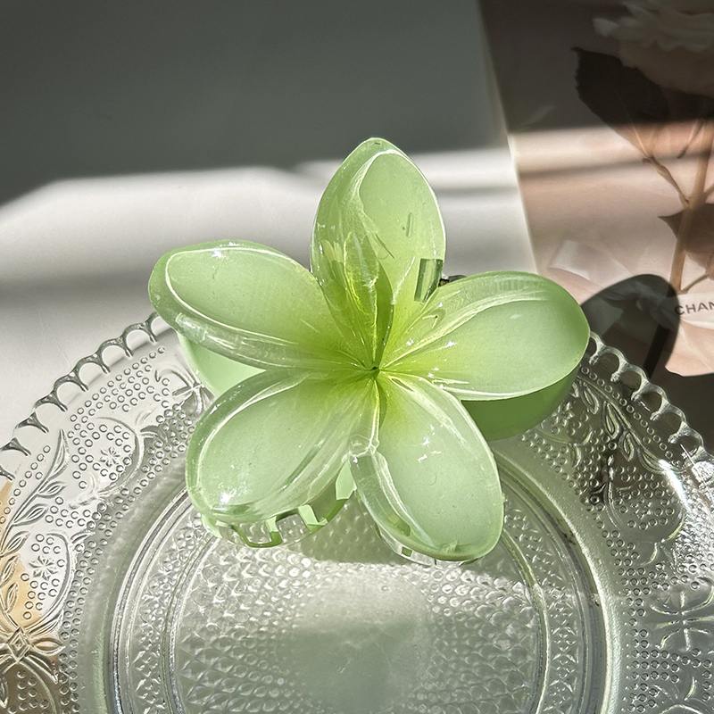 Pinces à cheveux fleur pour femmes, grande pince à cheveux bohème, épingles à cheveux, barrettes pour filles, accessoires pour cheveux de plage, vêtements de sauna, ,: PLAQUÉ ARGENT