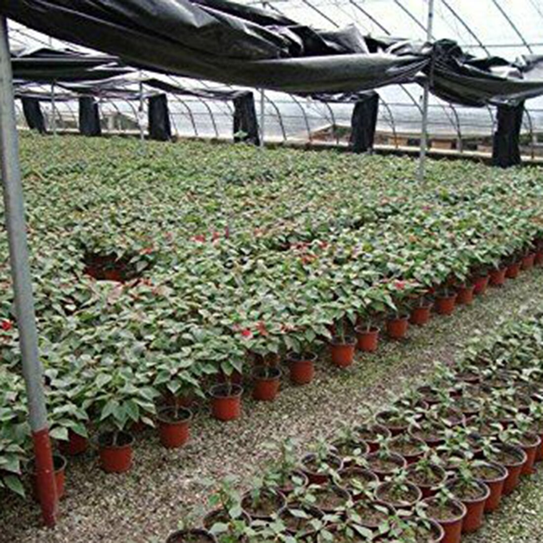 Plastic Planten Pot Tuinieren Planten Pot Groeien Kwekerij Bloempot Kruid Care