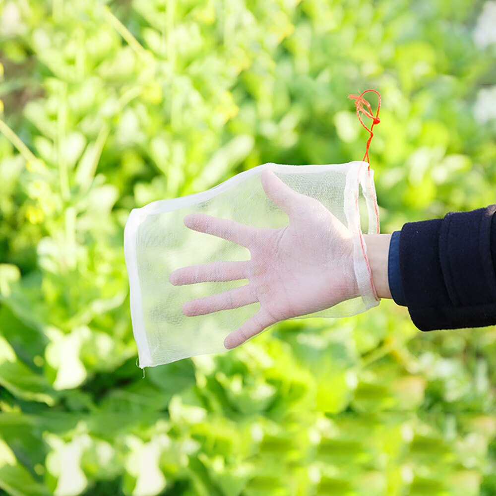 Beskyt planter mod insekter myggestik netpose drue figen blomst frø køkkenhave værktøj have frugt barriere dækselpose