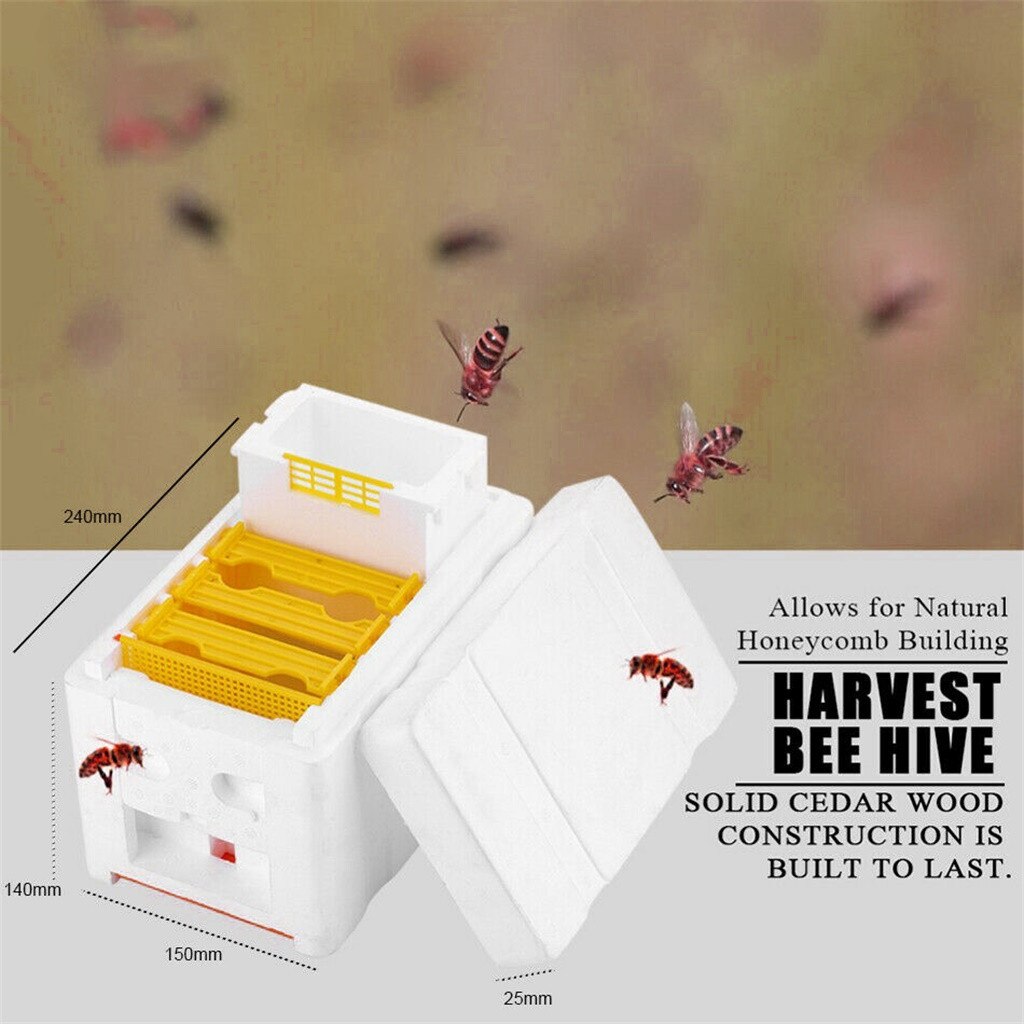 Home Honeycomb Box Beekeeping Harvest Hive Beekeeping King Box Pollination Box Beekeeping Tools Harvest Hive Hive Cedar K20