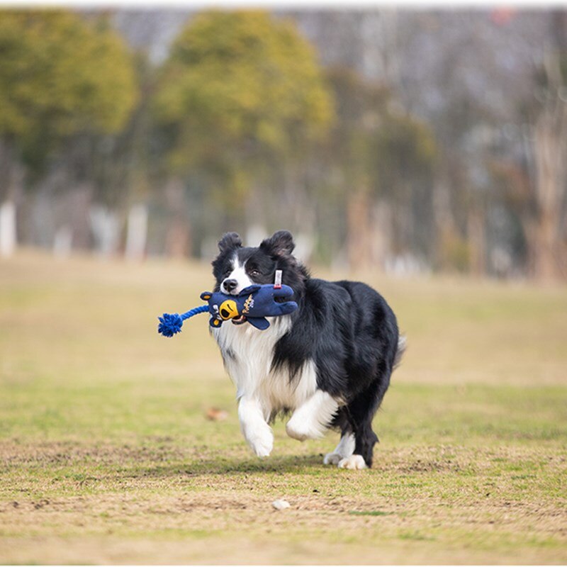 Medium-Grote Hond Speelgoed Tanden Slip Hond Speelgoed Interactieve Hond Speelgoed Golden Retriever Border Collie Shiba Inu Hond Training speelgoed
