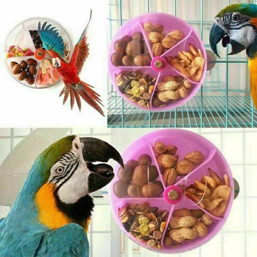 Modèle de gâteau perroquet oiseau, boîte à nourriture, jeu de cerveau, jouet drôle, roue d&#39;alimentation, 1 pièce