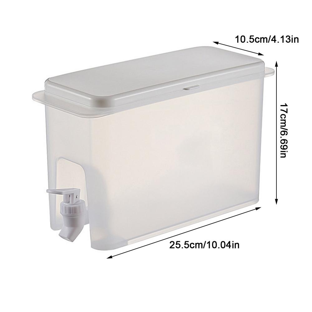 Infuseur d&#39;eau glacée pour fruits, Carafe, pichet à glace, thé, limonade, jus, théière, réfrigérateur