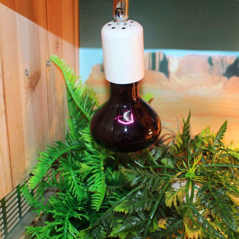 Reptile UVA Heating Lamp Climbing Pet Lizard Tortoise Heat Light Turtle Box Bulb Rearing Night Lights