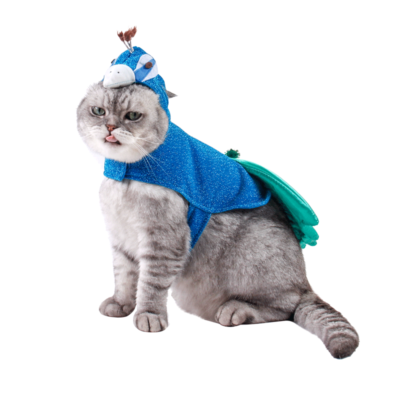 Pet Peacock Costume With Hat for Small Dogs Cats Blue