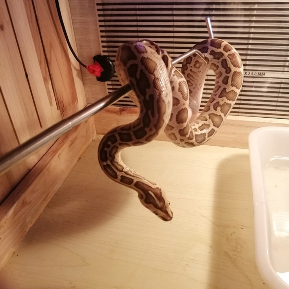 Stainless Steel Snake Hook Retractable Reptile Hook Snake Grabber Herp Tool for Gecko Lizard