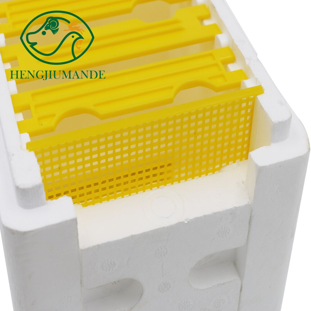 Bee Hive Beekeeping King Box Pollination Box Foam Frames Beekeeping Tool Kit