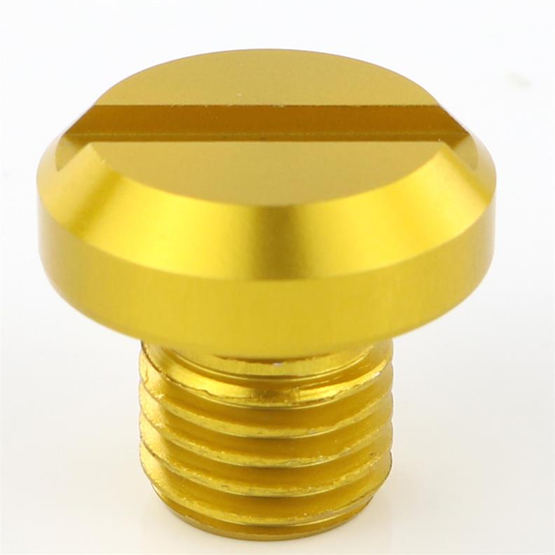 CNC miroir trou bouchons couvre vis pour Triumph Street Triple rue Twin Tiger Explorer 1200 tigre 1050 Sport tigre 800 XCX