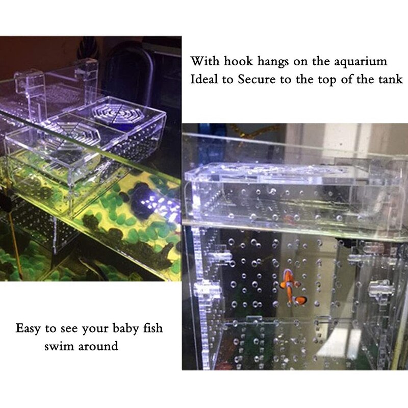 Aquarium Breeding Isolation Box Acrylic Fish Tank ... – Grandado