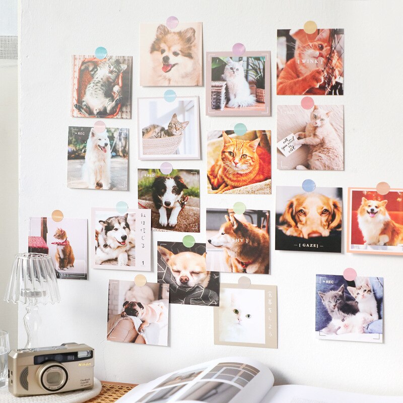 Ins 9 Sheets Interesting Cat Dog Postcard Square Cute Animals Decorative Card Small Poster Diy Background Wall Sticker