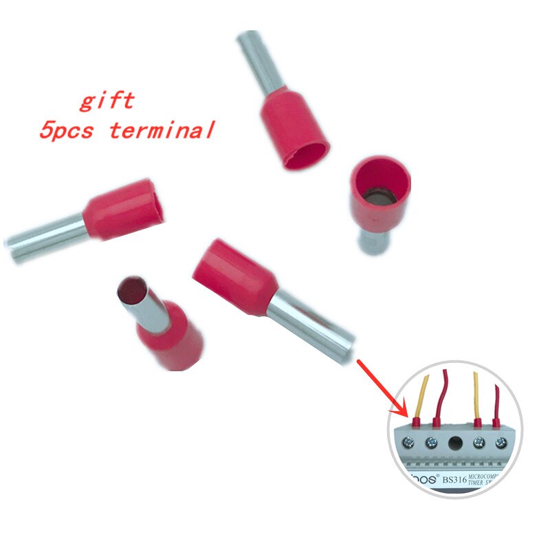 BS316 25A Intelligent Microcomputer Programmable Electronic Timer Time Switch Relay Controller AC230V