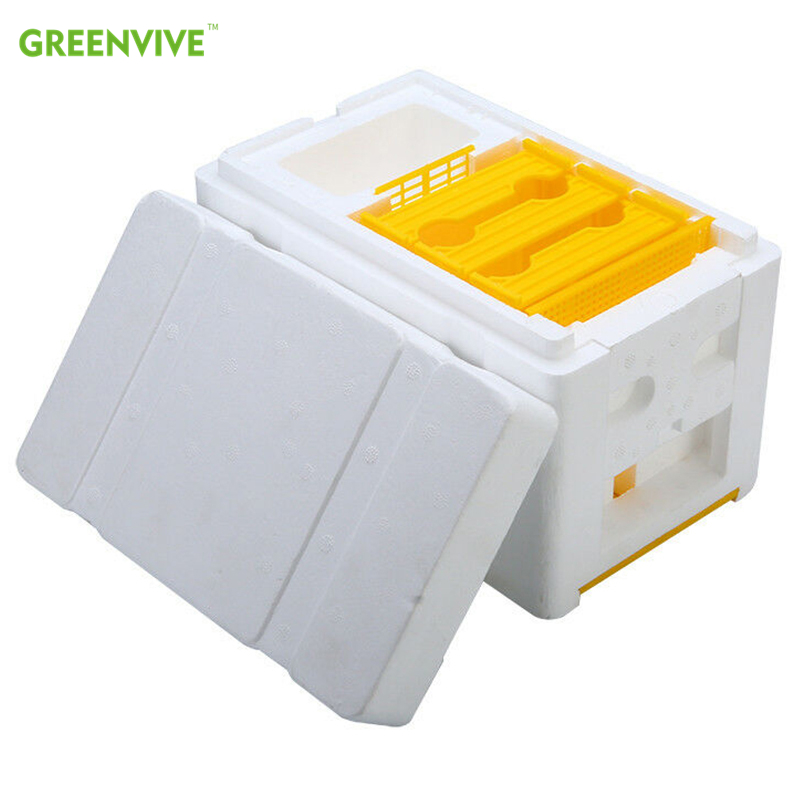 Mini poly bikupa skörd bi box drottning pollinering biodling för bi parning copulation drottning uppfödning bikupa matare rörlig