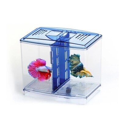 hting fish box small fighting fish tank mini creek isolation double box fish box desktop ornamental fish breeding breeding hatch