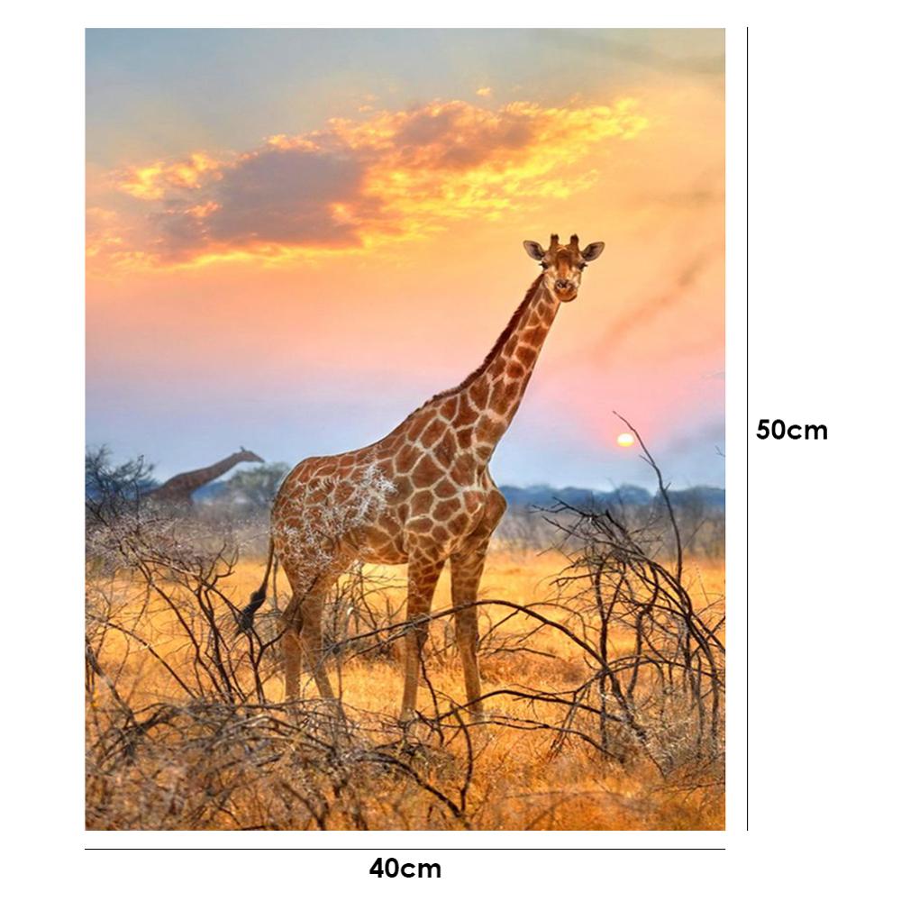 40x50cm Oli peinture par numéros Kit bricolage féroce aigle toile huile Art photo décor à la maison Animal fait main pas de cadre: 07