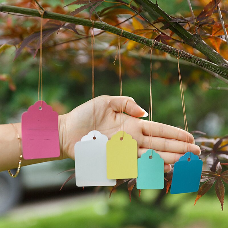 Coloré Étiquettes De Plantes Pépinière Étiquette pendaison arbre Marqueurs semis plantent des arbres fruitiers signes rapide carte outil de classement