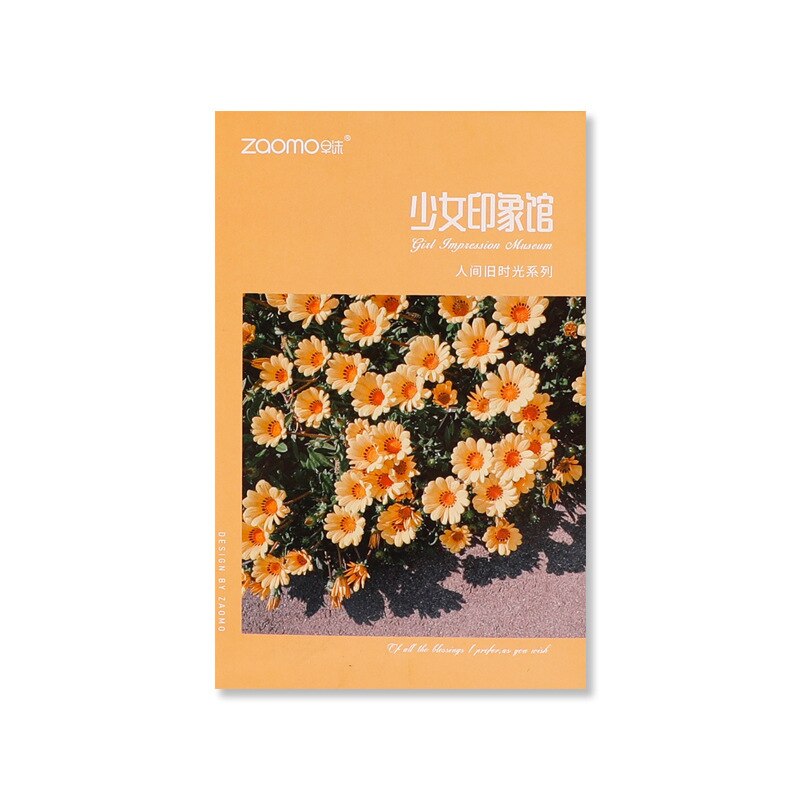 30pc kolorowe pocztówki zapisywalne karty dekoracji DIY dziennik naklejka ścienna małe plakat rekwizyty fotograficzne pozdrowienia artykuły papiernicze prezent: B Girl Impression 30