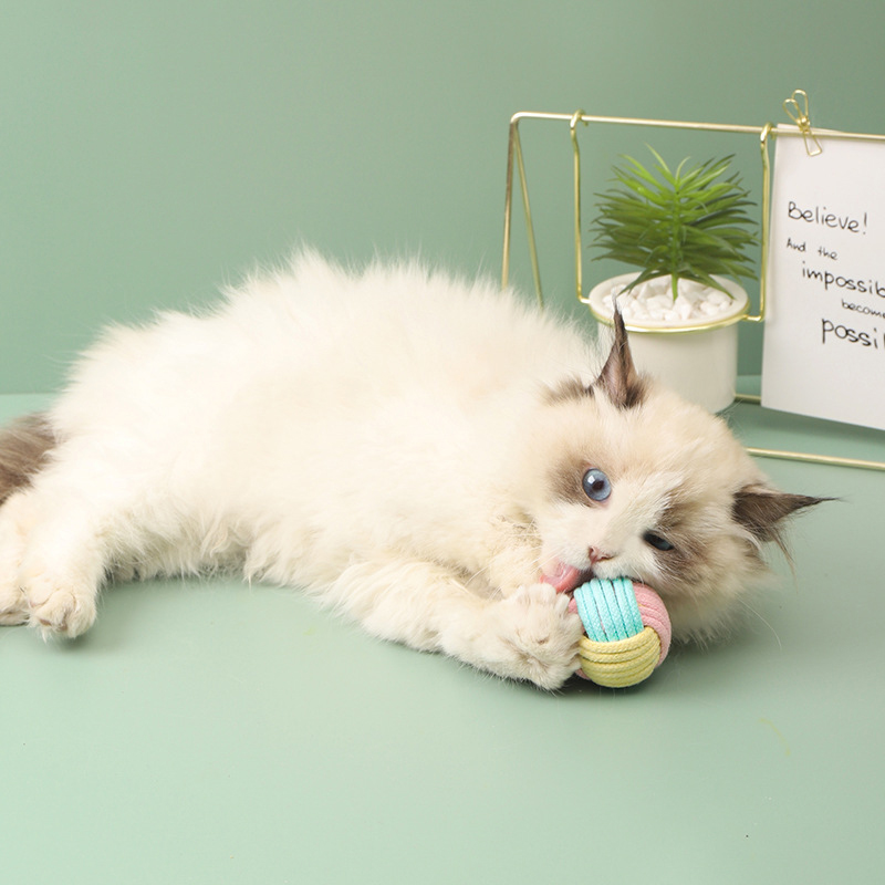 Corda de algodão interativa brinquedos bola para gatos acessórios brinquedo para animais de estimação bola de algodão mastigar corda de algodão nó bola treinamento brinquedo interativo