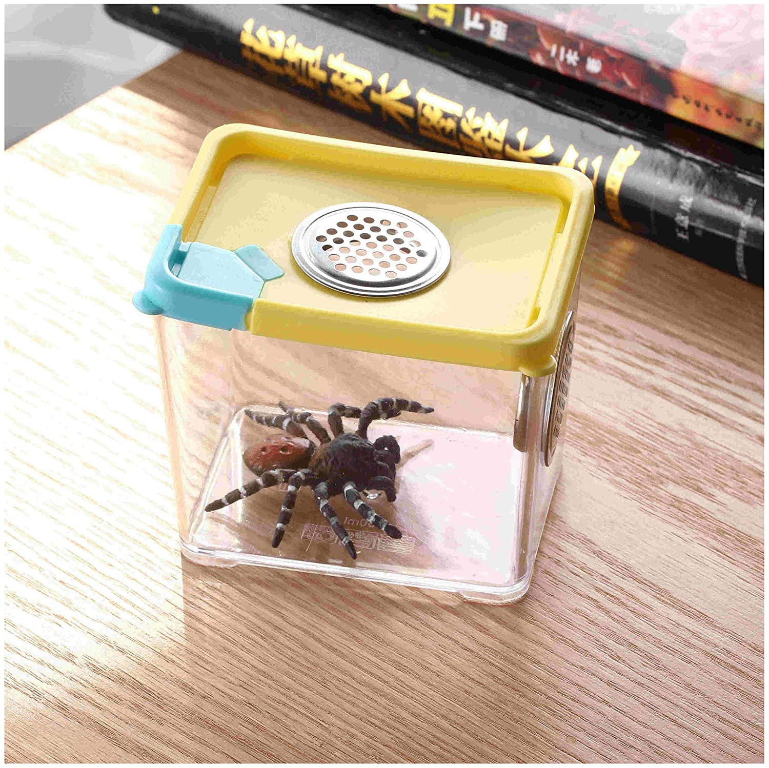 Insect Habitat Cage Butterfly Spider Mantis Bottle Frog Cricket Snail Box Bug Catcher Breathable Outdoor