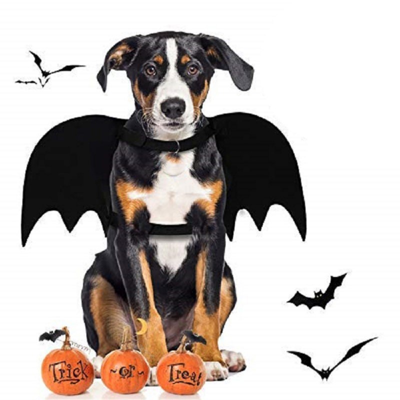 Halloween kæledyr hunde kostumer flag vinger sort sød fancy kjole op halloween kæledyr hund kat kostume med snor
