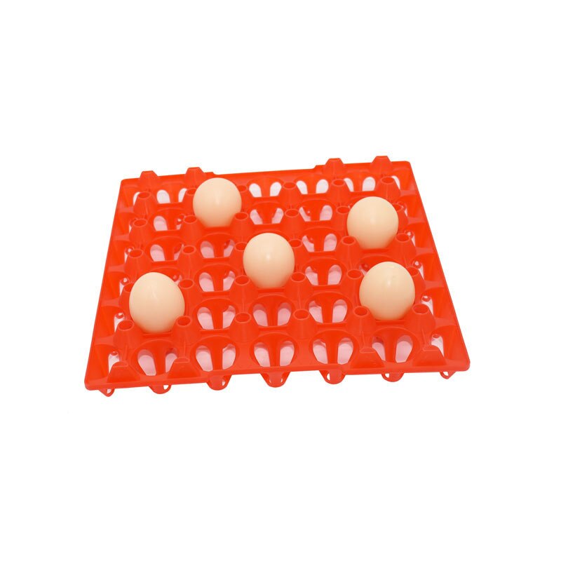 Plateau à œufs ferme, 10 pièces, bac à œufs en matériau plastique, transport et stockage des œufs, 287mm x 287mm x 30 pièces